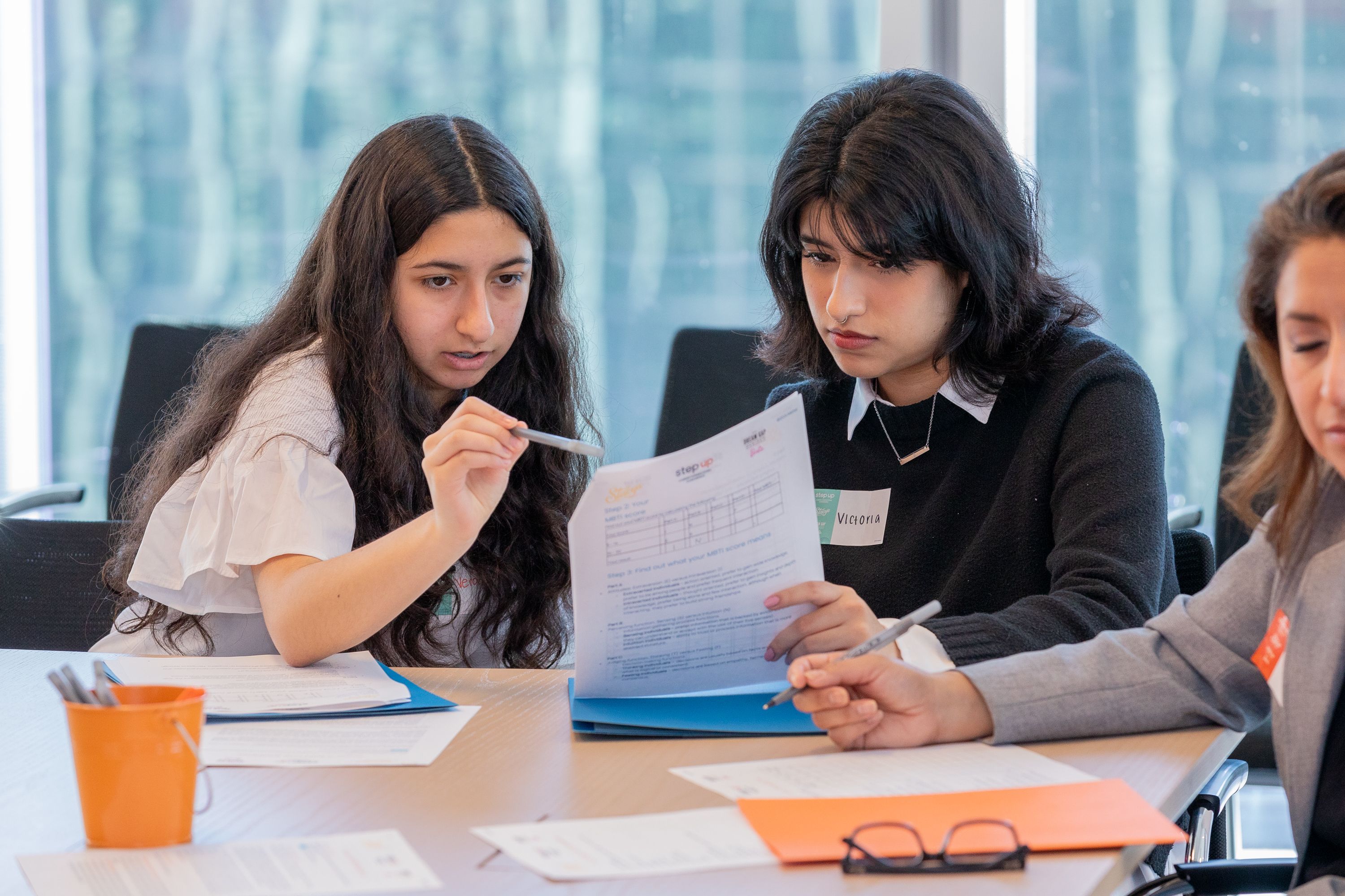 Why Support Mentorship?