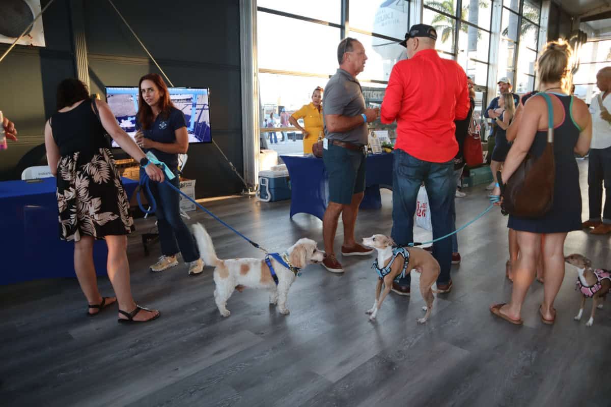 2024 Triton Expo at Pier Sixty-Six