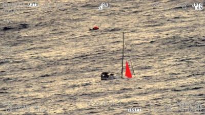 Four Sailors Rescued After Yacht Sinks Following Whale Strike