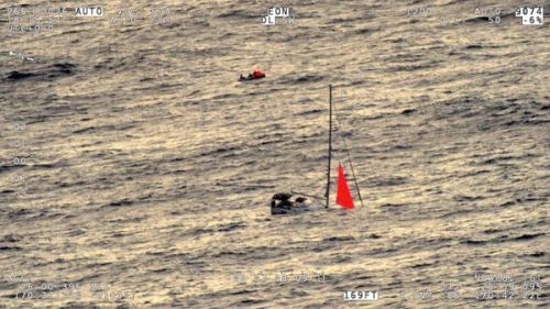Four Sailors Rescued After Yacht Sinks Following Whale Strike