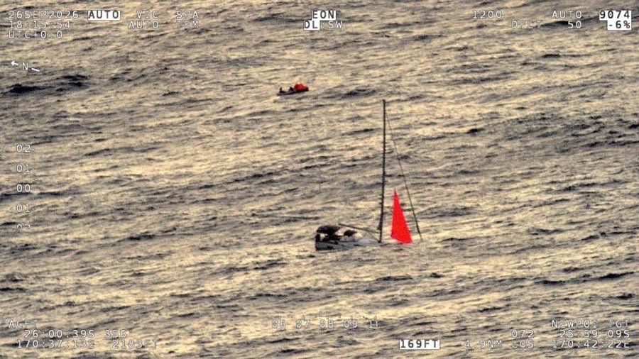 Four Sailors Rescued After Yacht Sinks Following Whale Strike