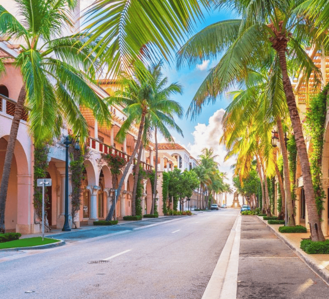 Explore the Palm Beaches