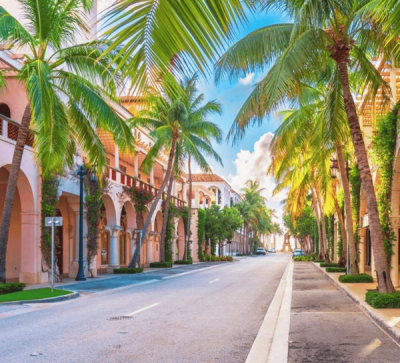Explore the Palm Beaches