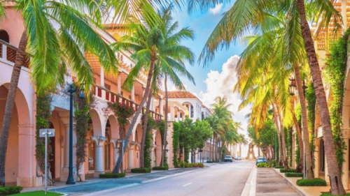 Explore the Palm Beaches