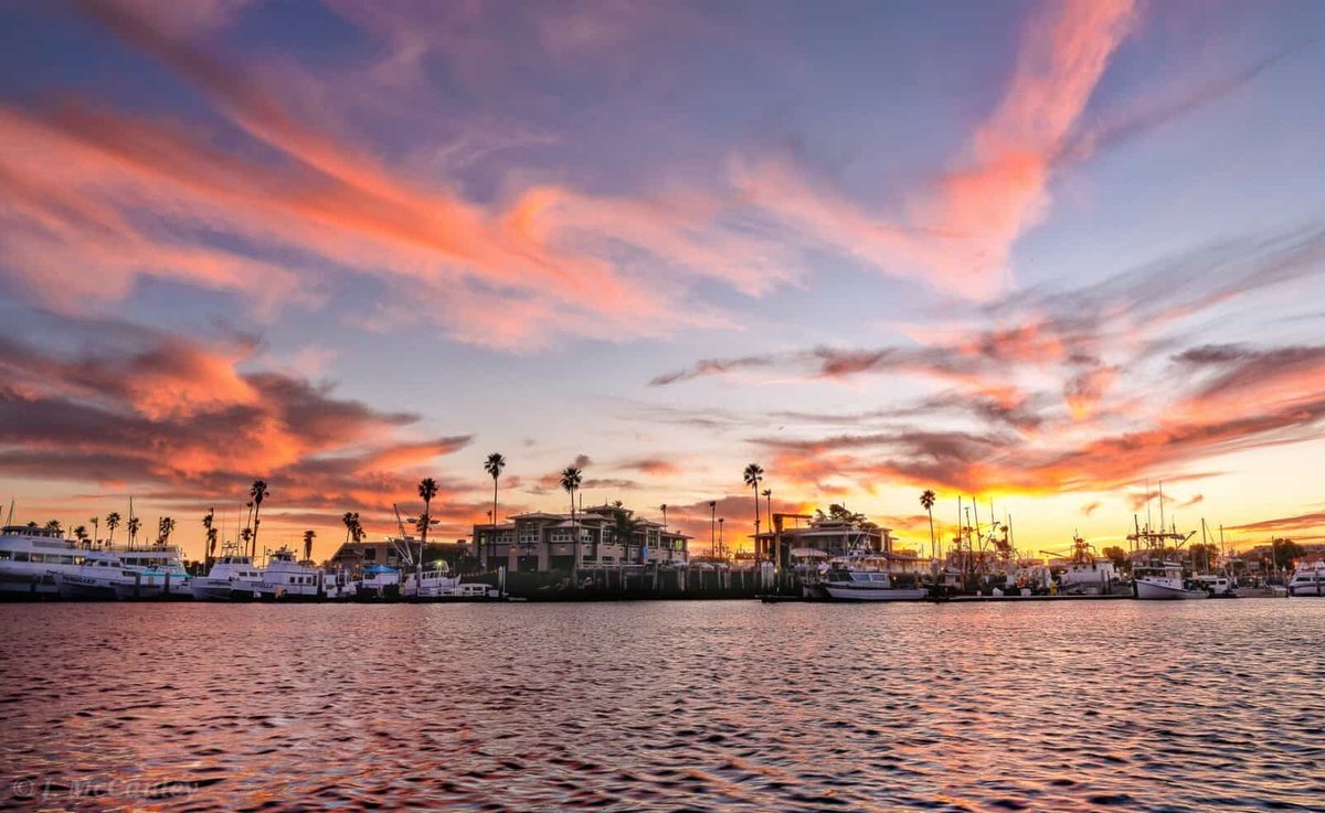 Suntex Marinas Adds Marine Emporium Landing to Portfolio