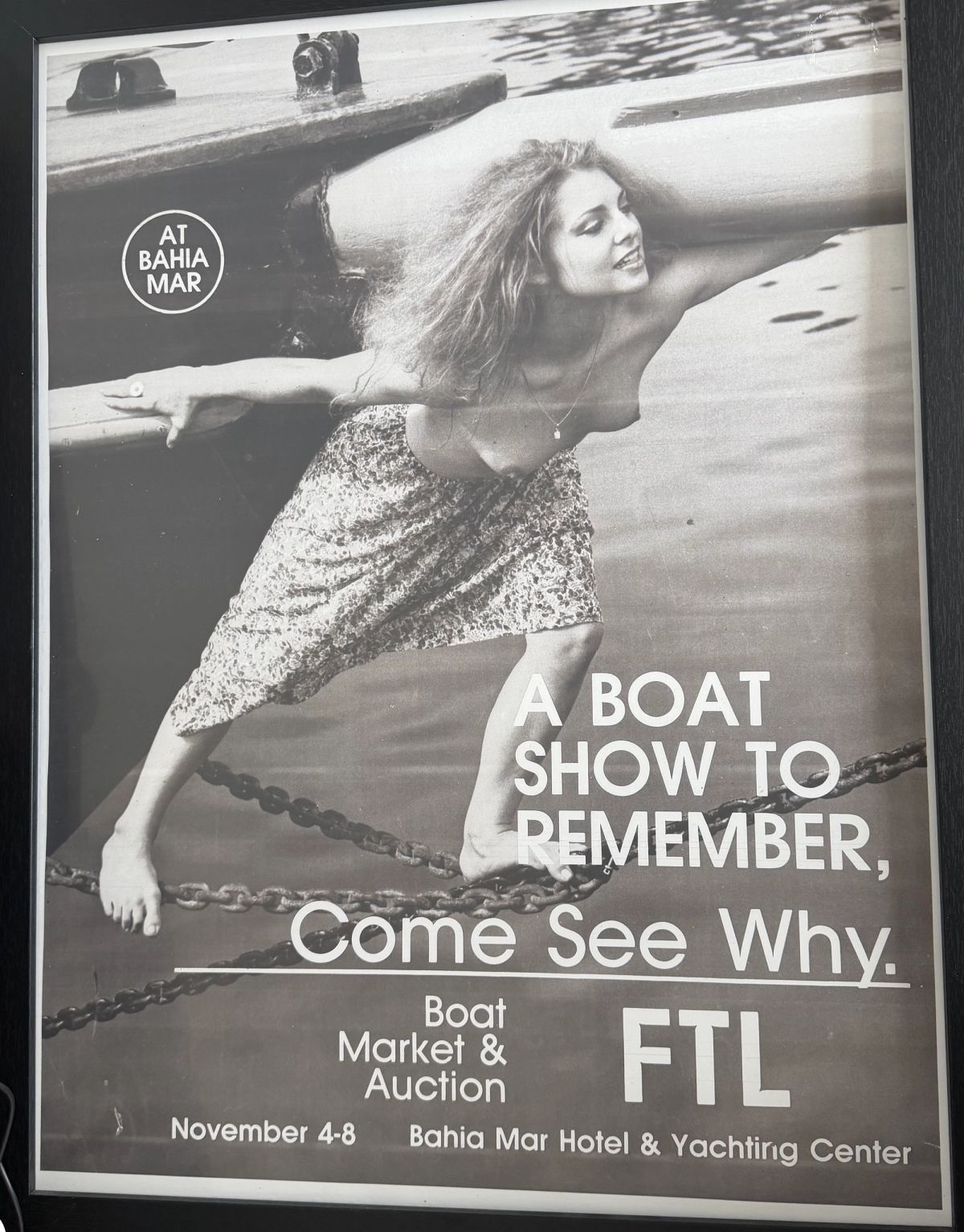 poster for FLIBS