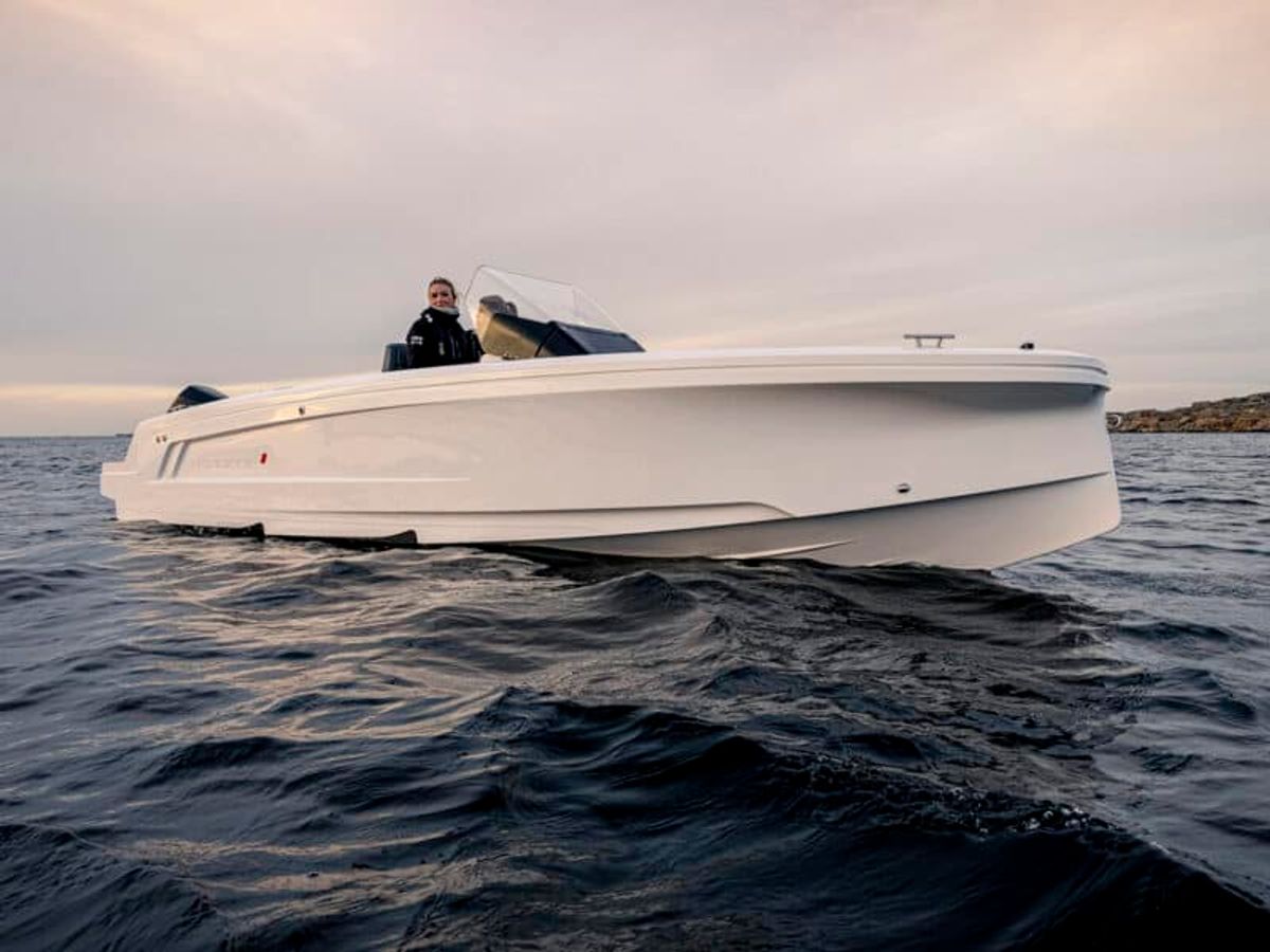 Tender and Toys: Triton's 2024 Picks
