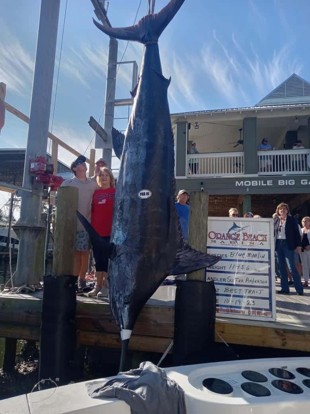 Sportfishing Team on Best Trait Catches Record-Breaking 1,145.6-Pound Blue Marlin