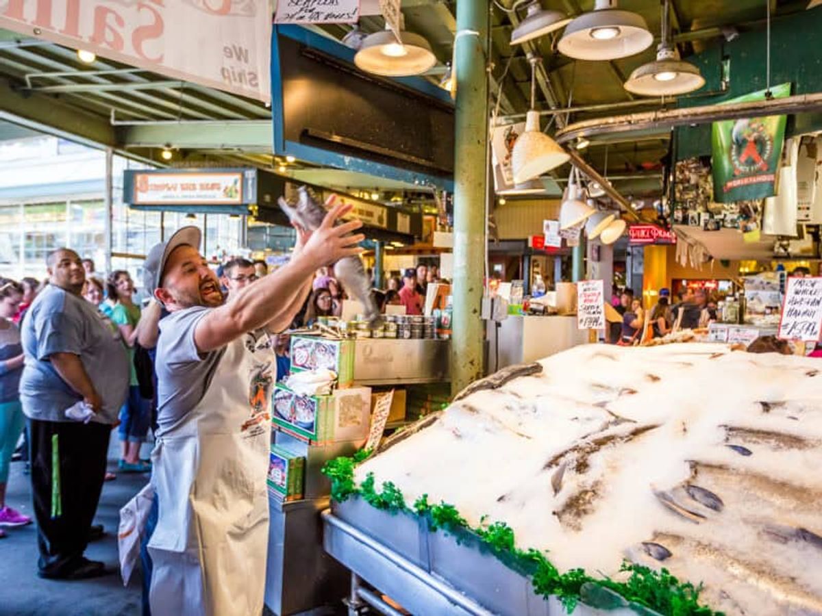 Skidding Down, Flying High: Seattle as a Yachting Destination
