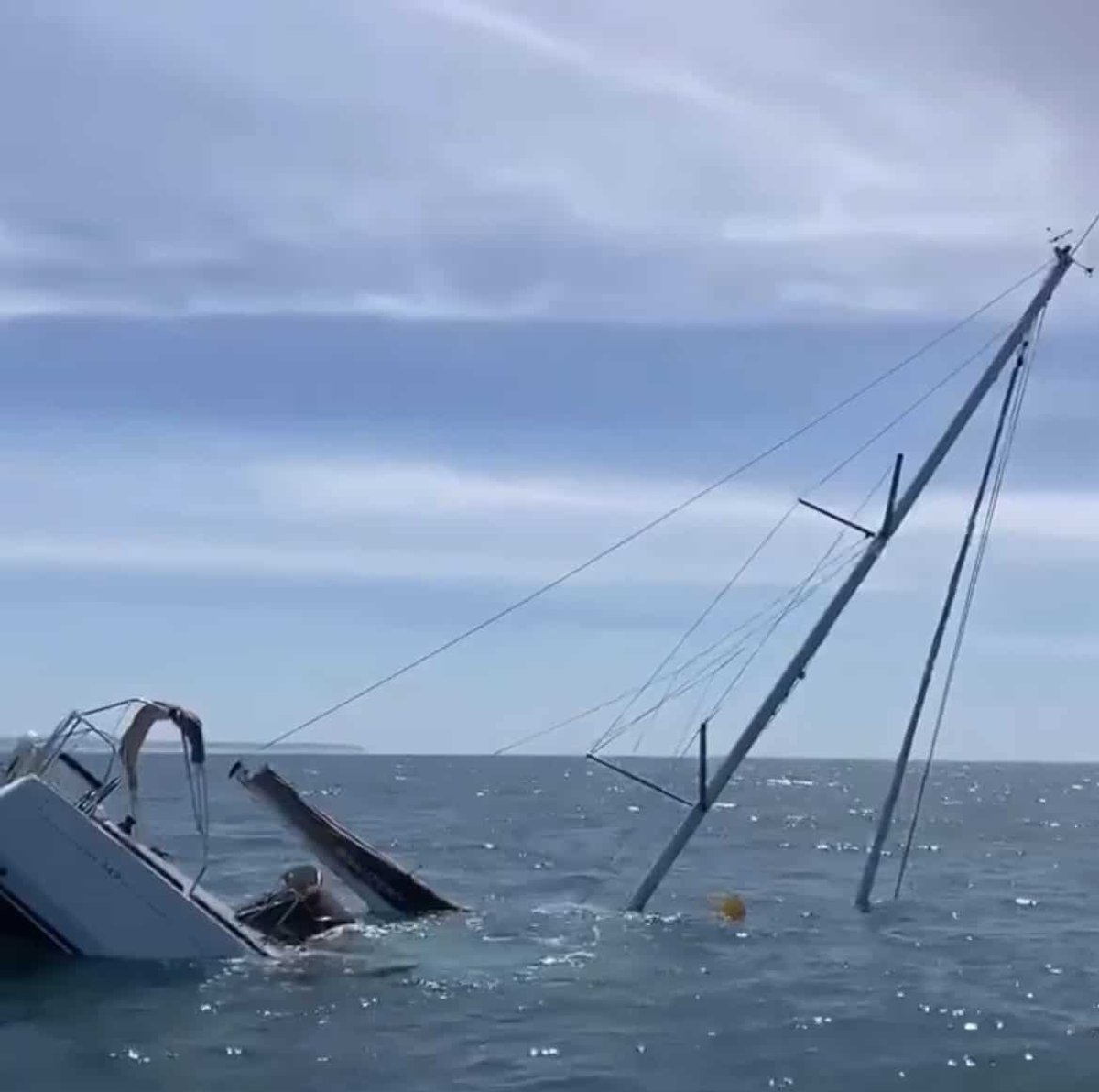 Orcas Sink Sailboat Off Portugal Coast