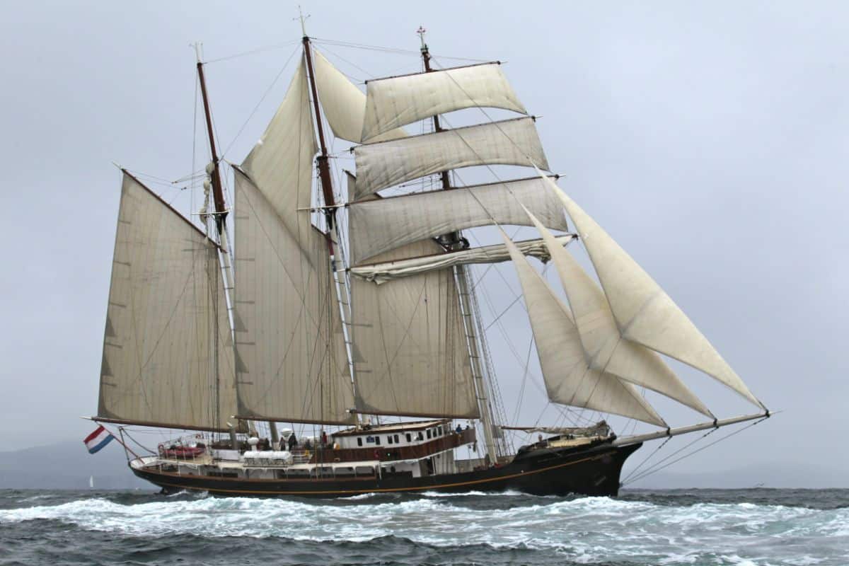 Aboard S/V Gulden Leeuw