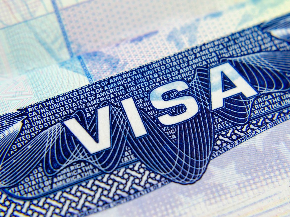 Navigating The Fog of Immigration Law