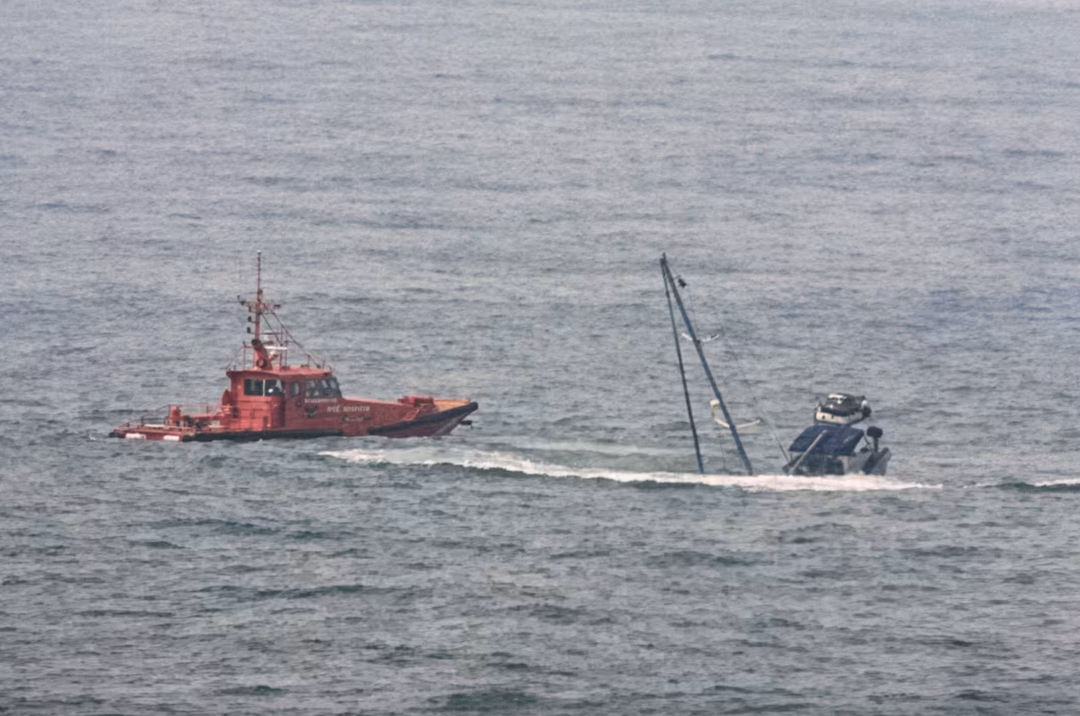 Orcas Sink Sailing Boat Off Spain’s Coast