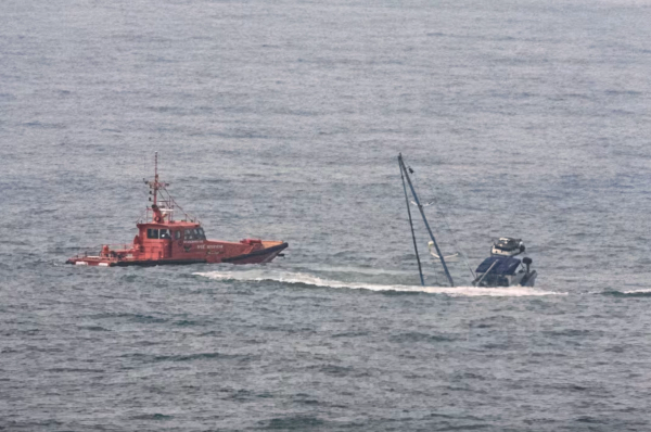 Orcas Sink Sailing Boat Off Spain’s Coast