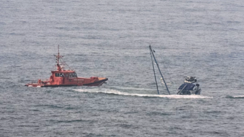 Orcas Sink Sailing Boat Off Spain’s Coast