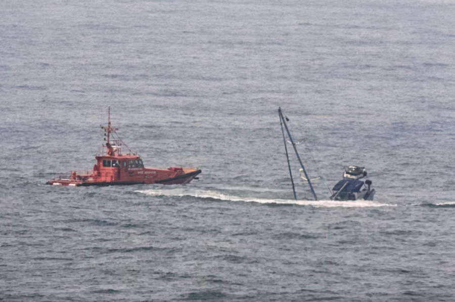 Orcas Sink Sailing Boat Off Spain’s Coast