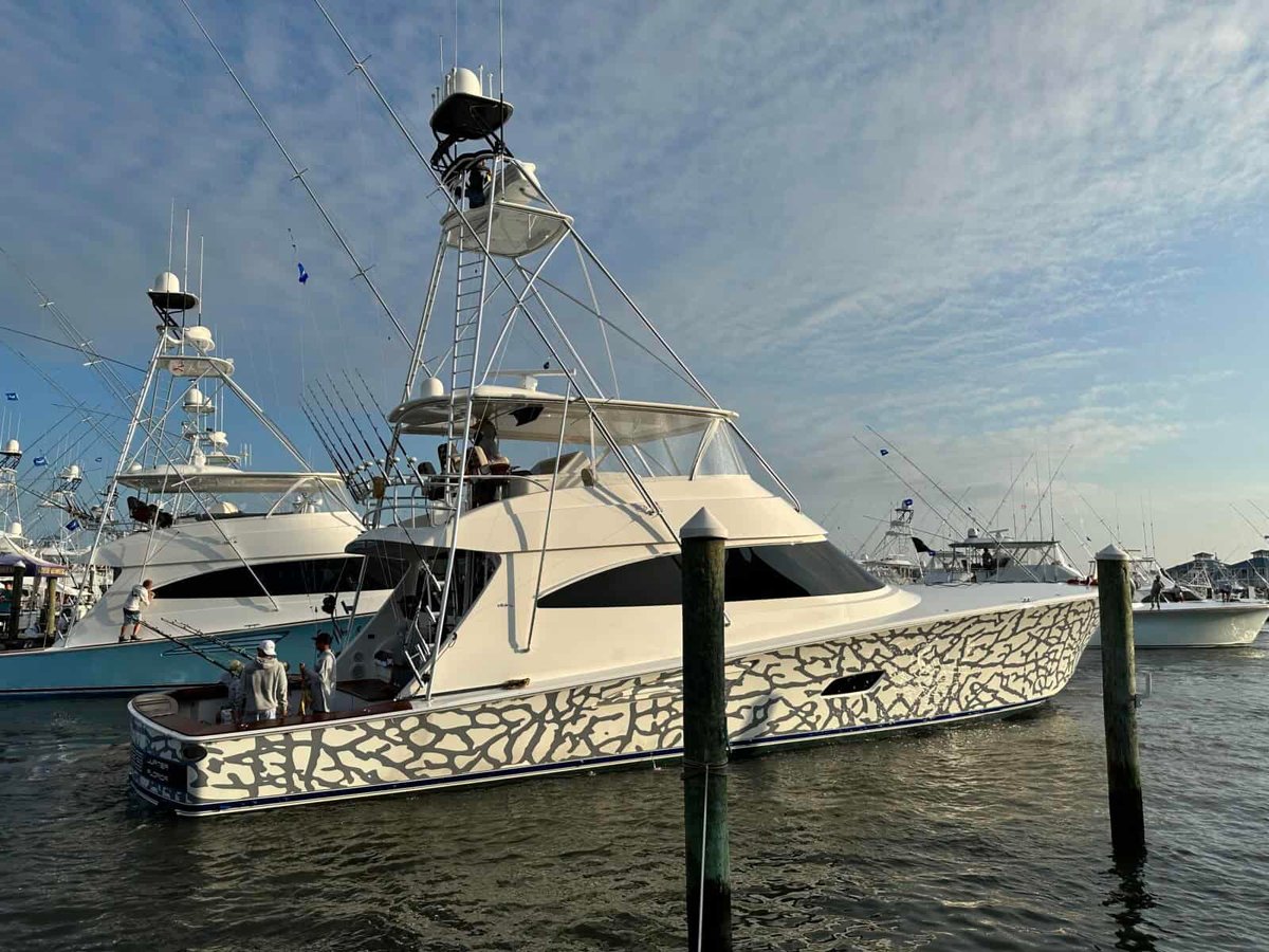 50th Edition of The White Marlin Open Begins