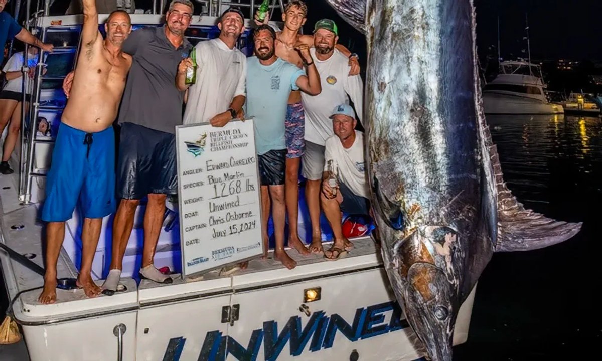 1,268-Pound Blue Marlin Caught During Bermuda Big Game Classic