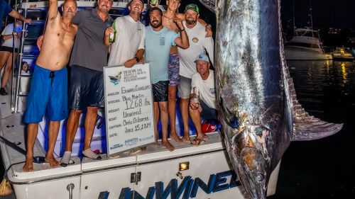 1,268-Pound Blue Marlin Caught During Bermuda Big Game Classic