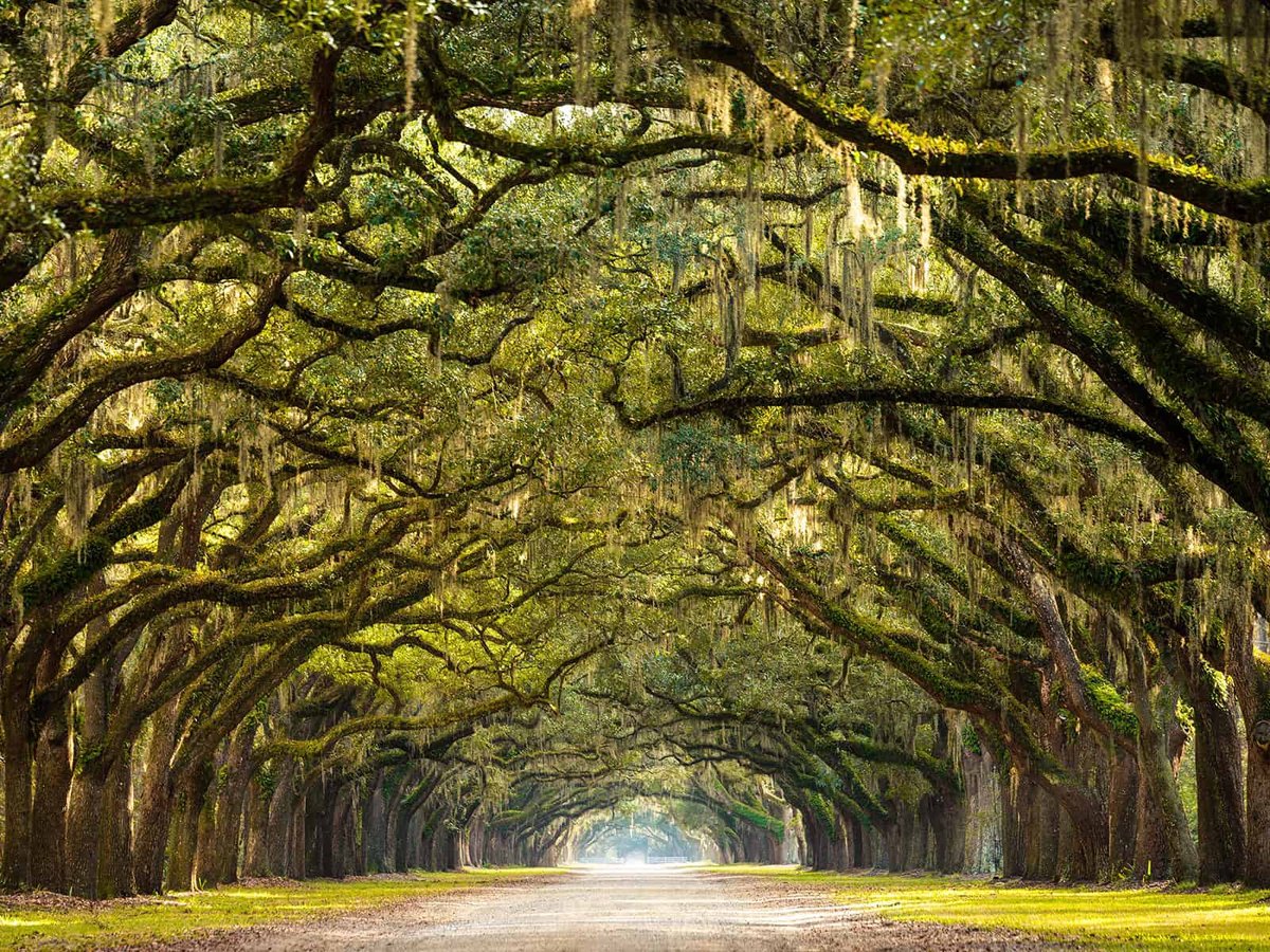 A Yachting Guide to the Carolinas, Savannah, and Jacksonville