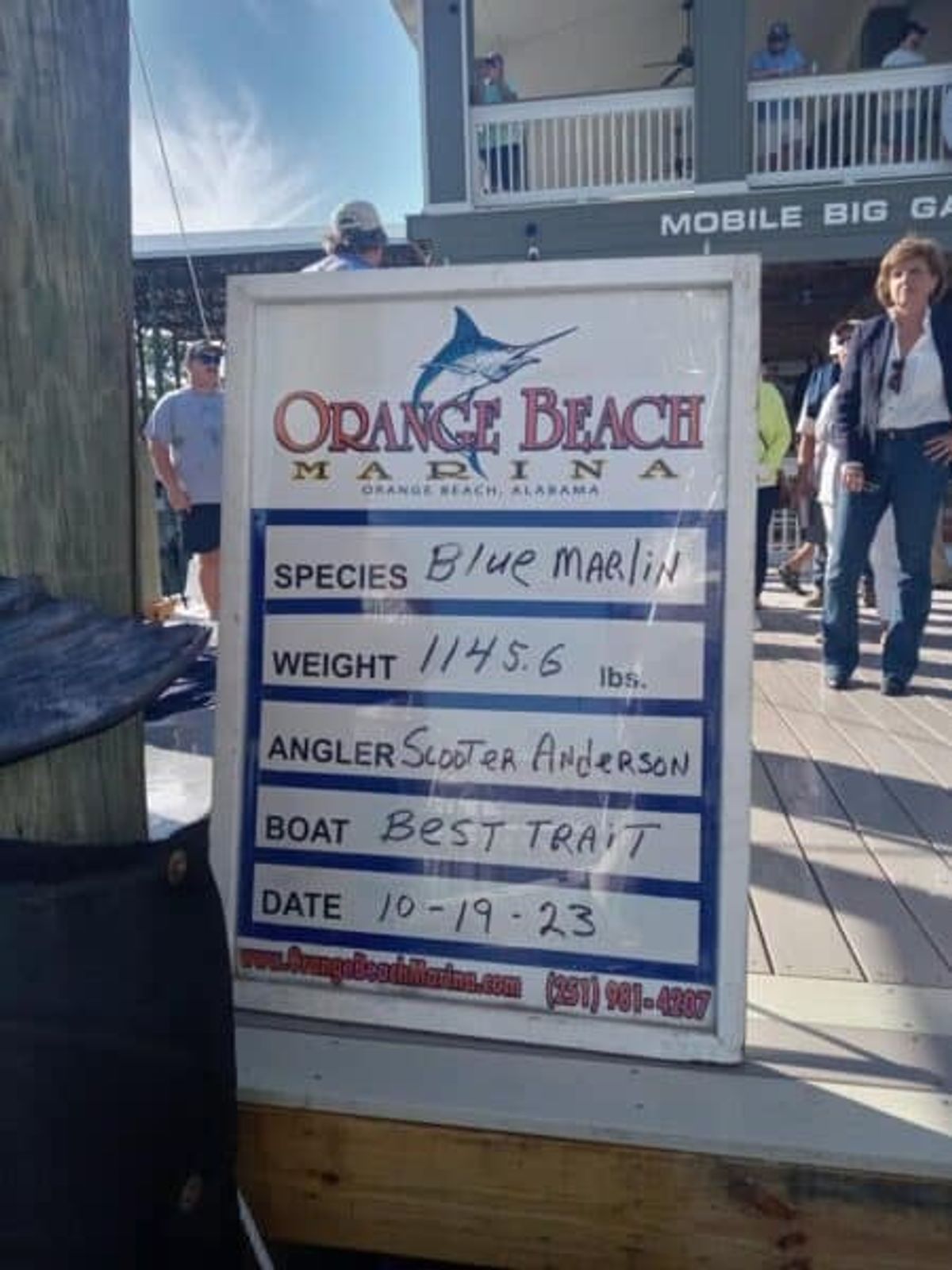 Sportfishing Team on Best Trait Catches Record-Breaking 1,145.6-Pound Blue Marlin