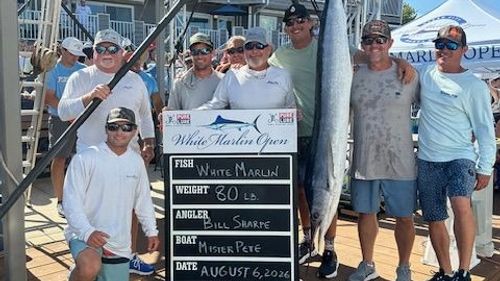 Mister Pete Claims $3.5 Million Top Prize at White Marlin Open