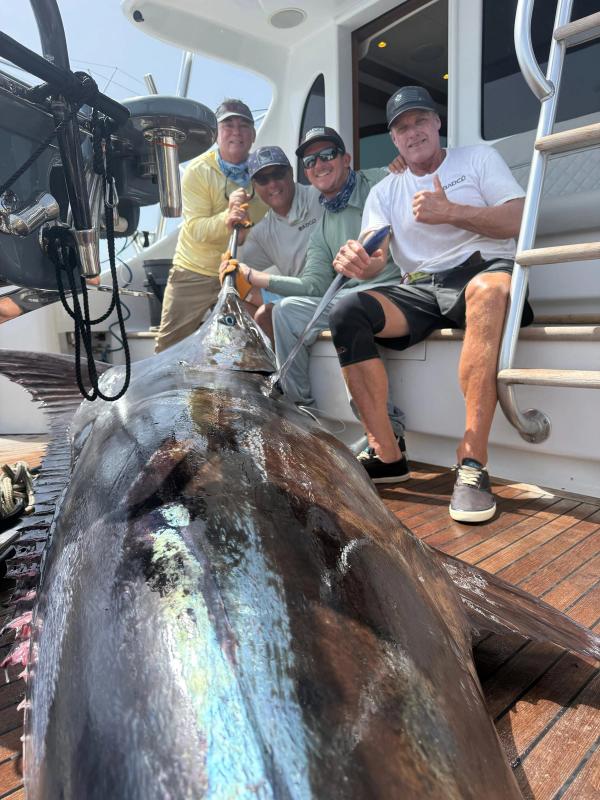 Bad Company Wins Blue Marlin World Cup After 653-Pound Tie