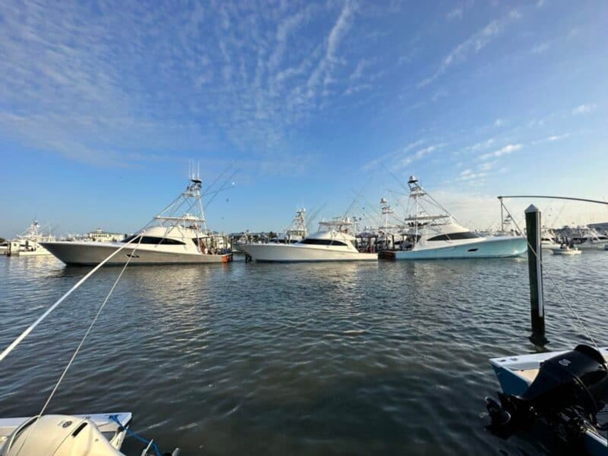 $6.2 Million Billfish