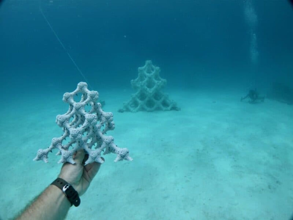 reefs