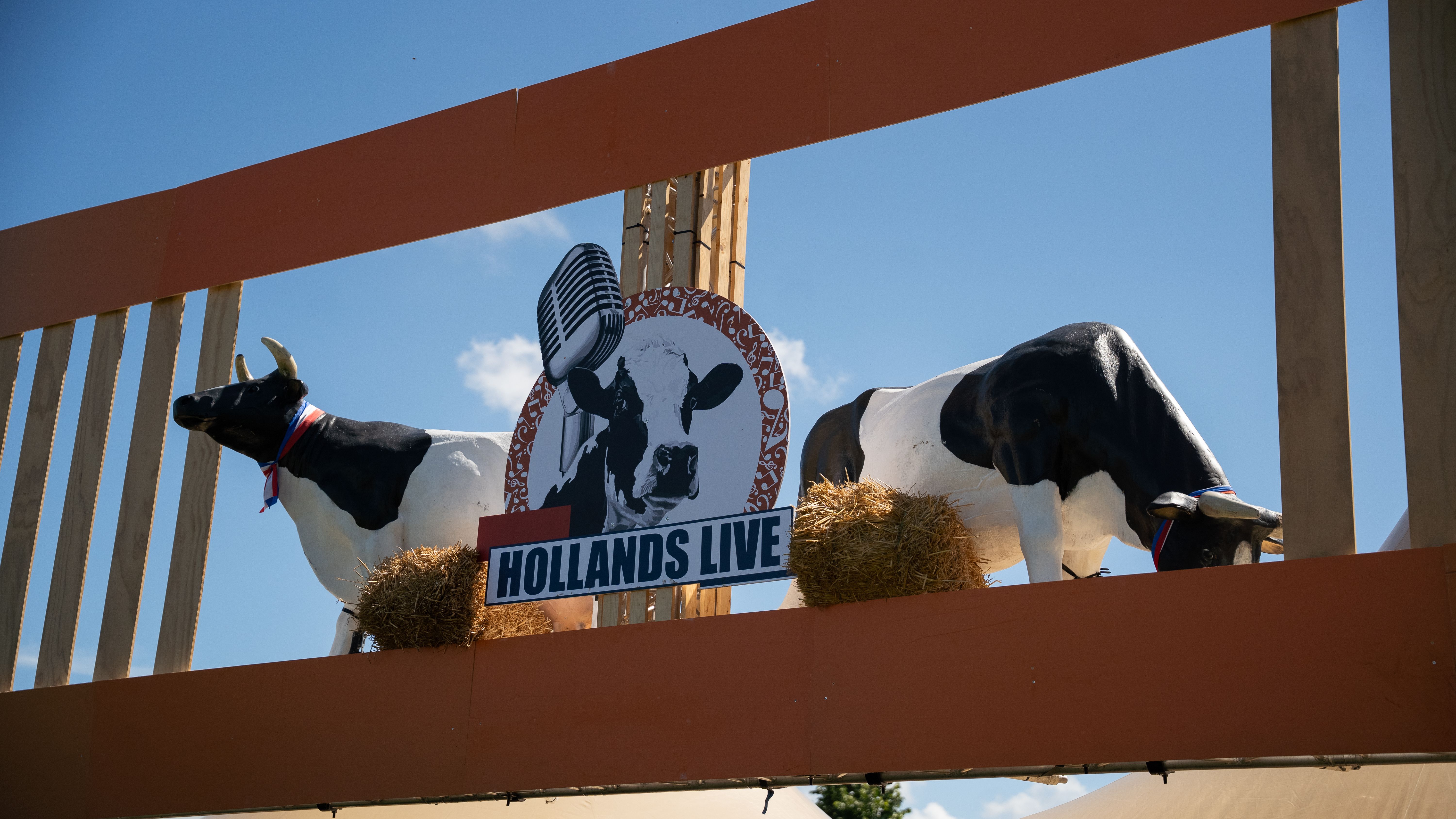HOLLANDS LIVE FESTIVAL – foto 12