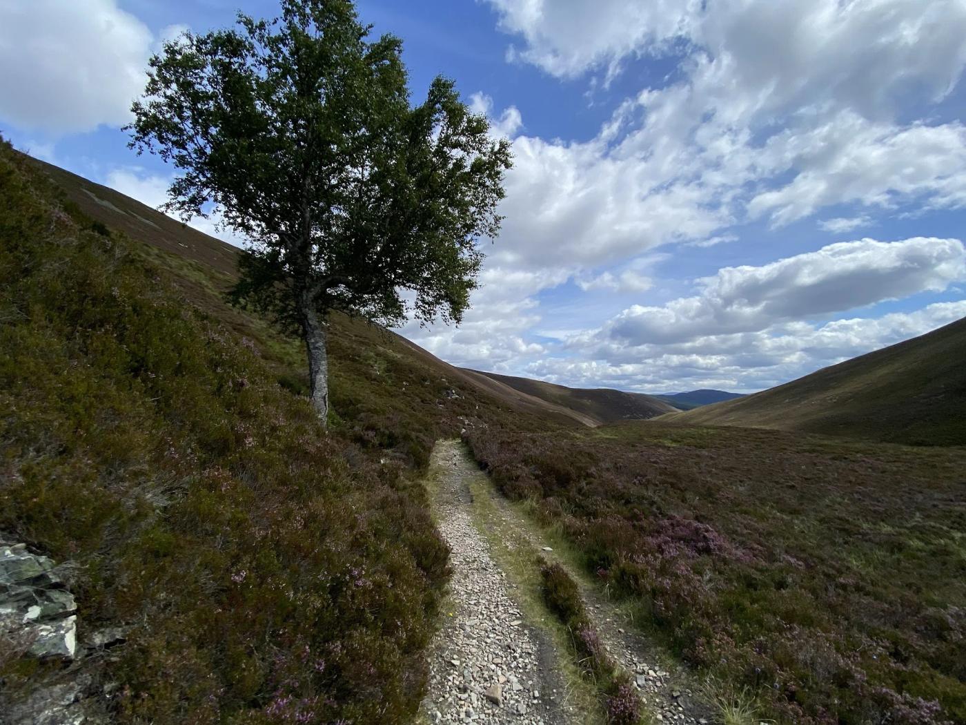 Hiking photograph