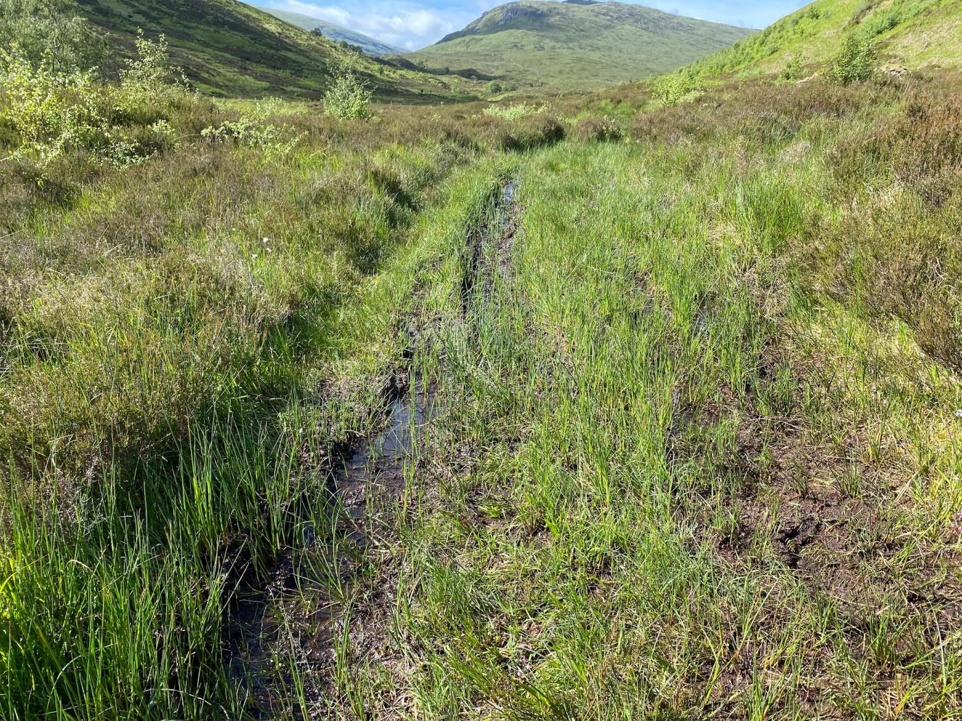 Hiking photograph