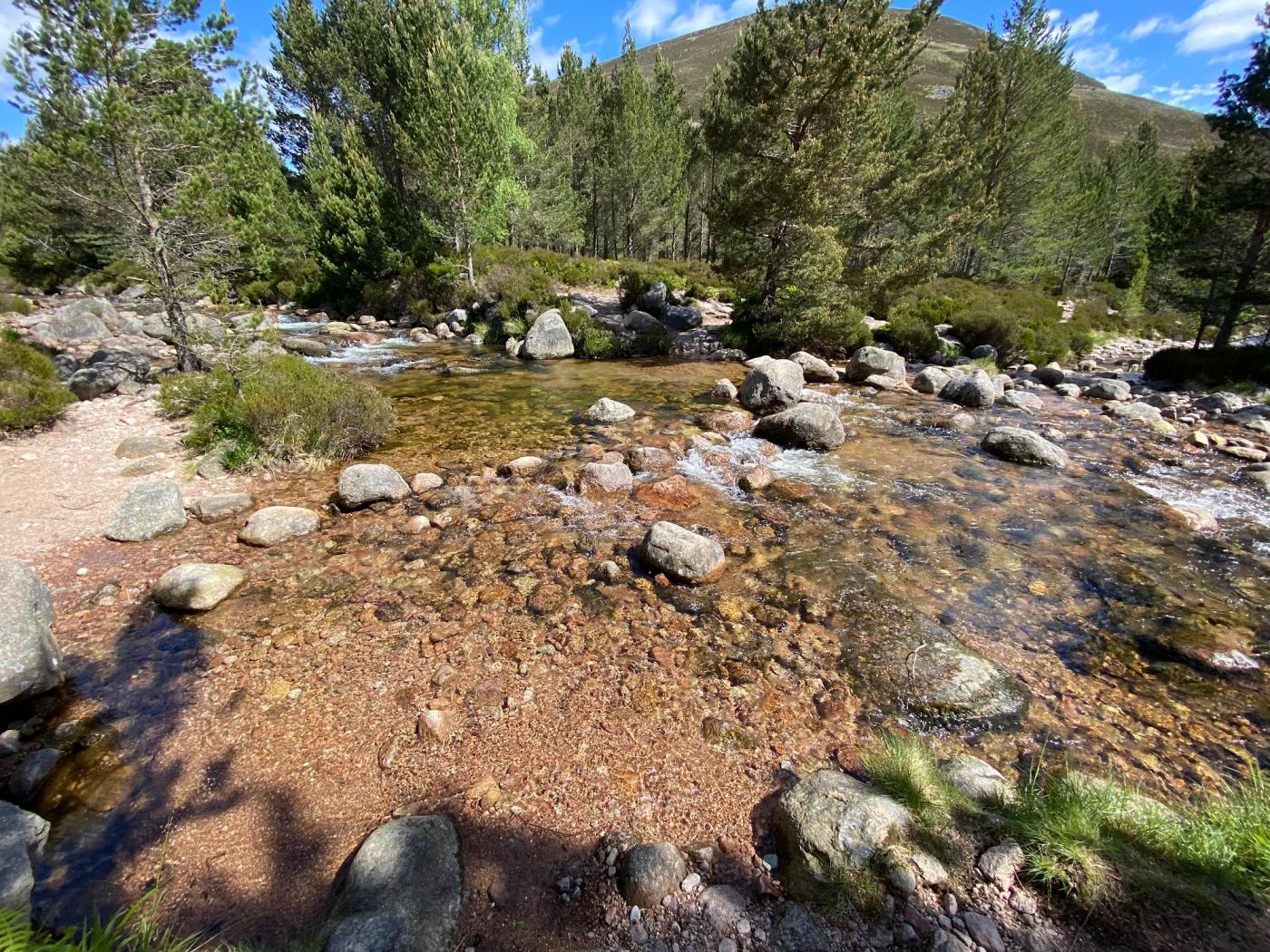 Hiking photograph