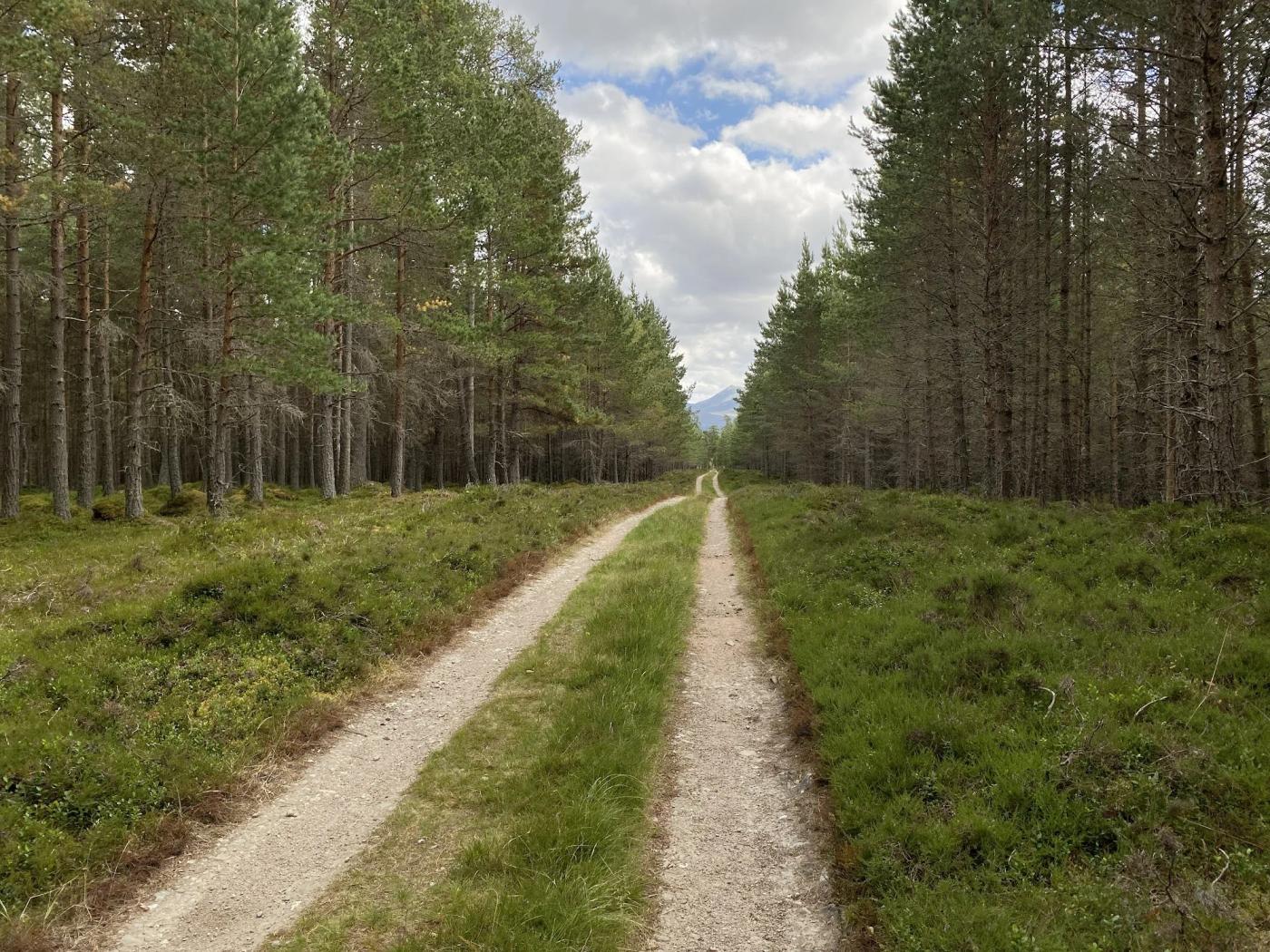 Hiking photograph