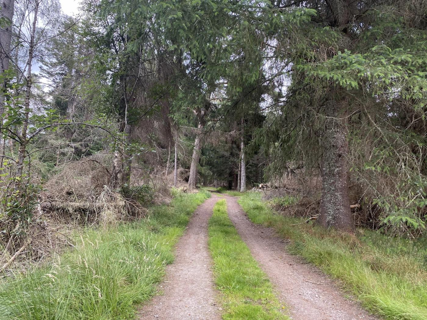 Hiking photograph