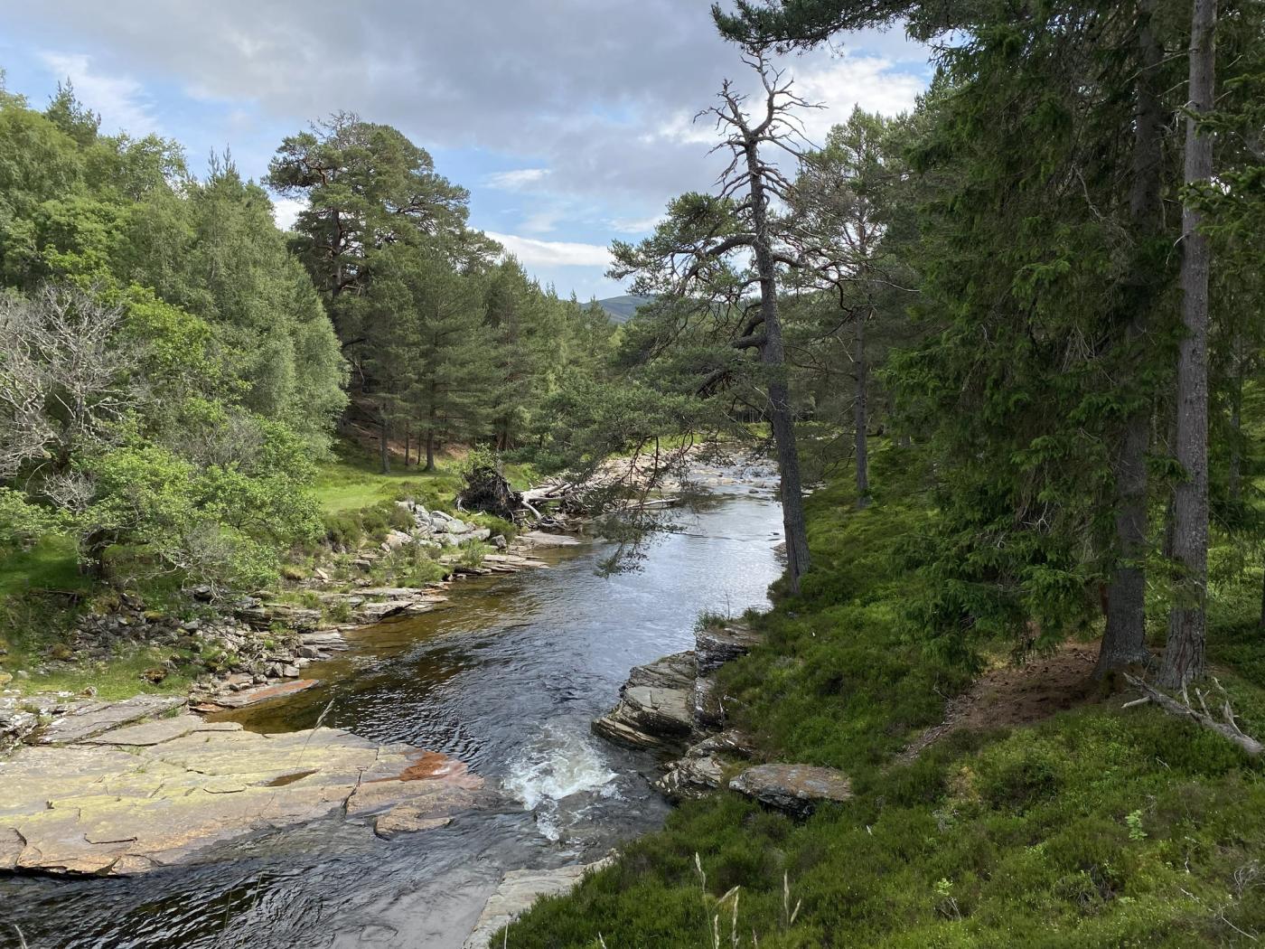 River in Linn of Dee
