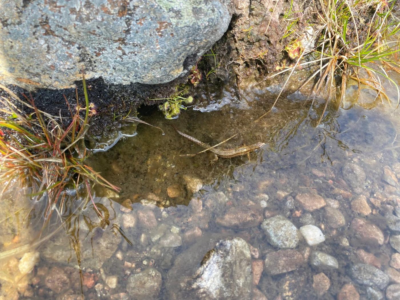 Hiking photograph