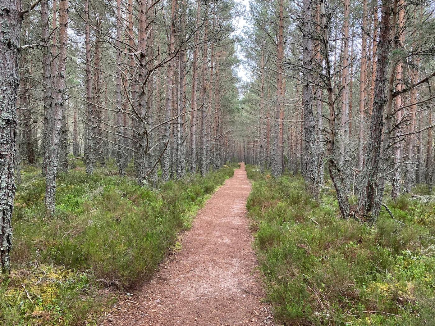 Hiking photograph
