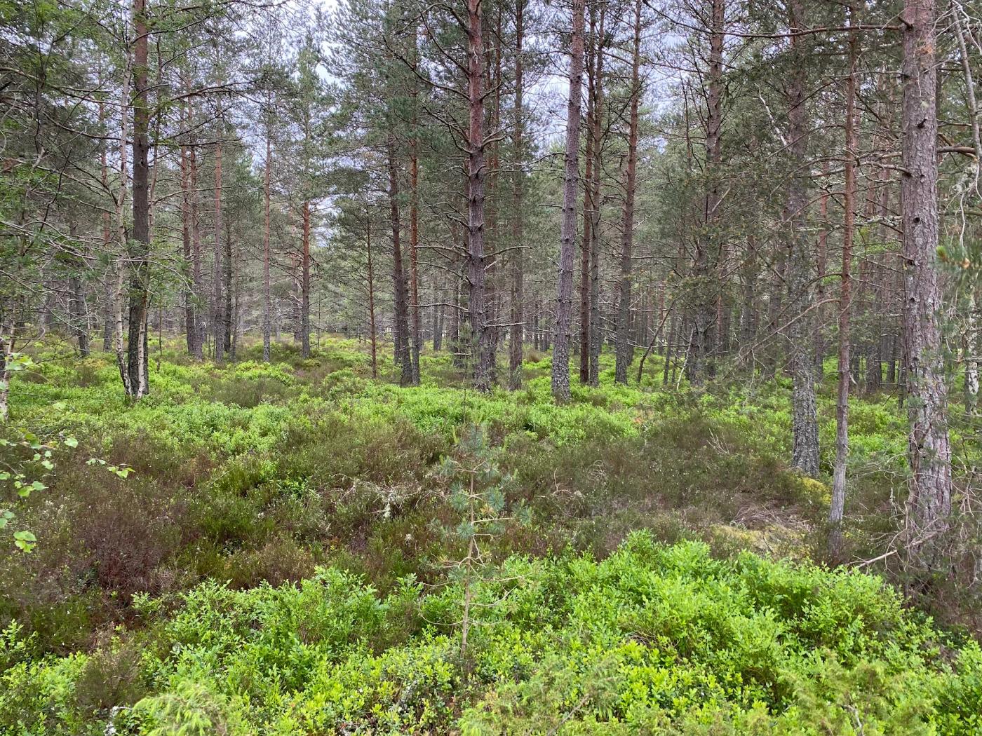 Hiking photograph