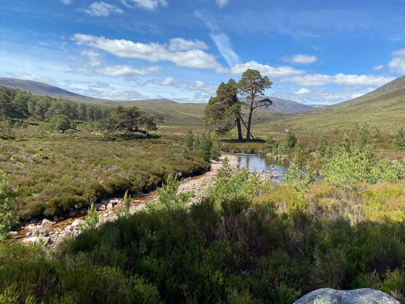 Hiking photograph