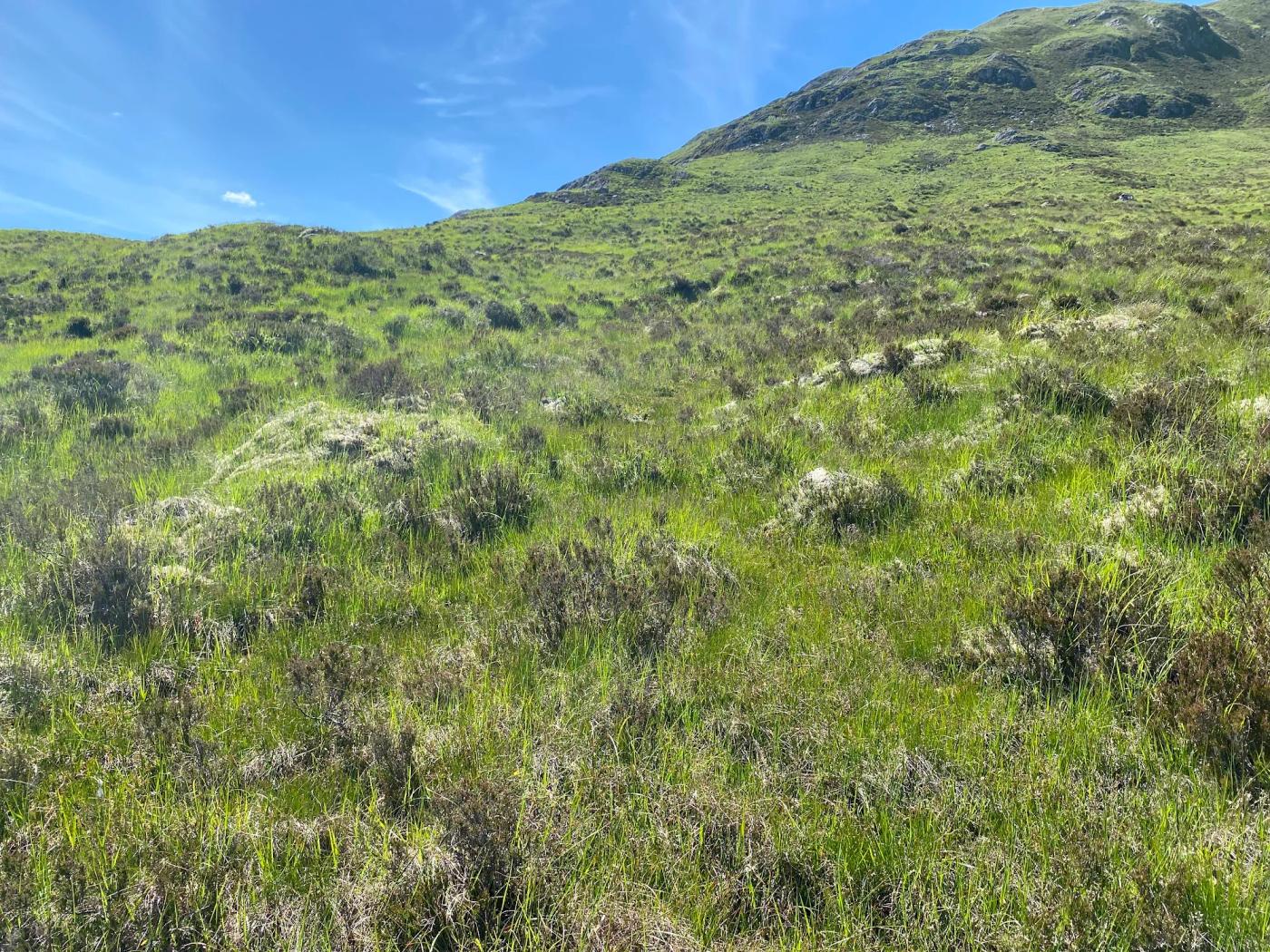 Hiking photograph