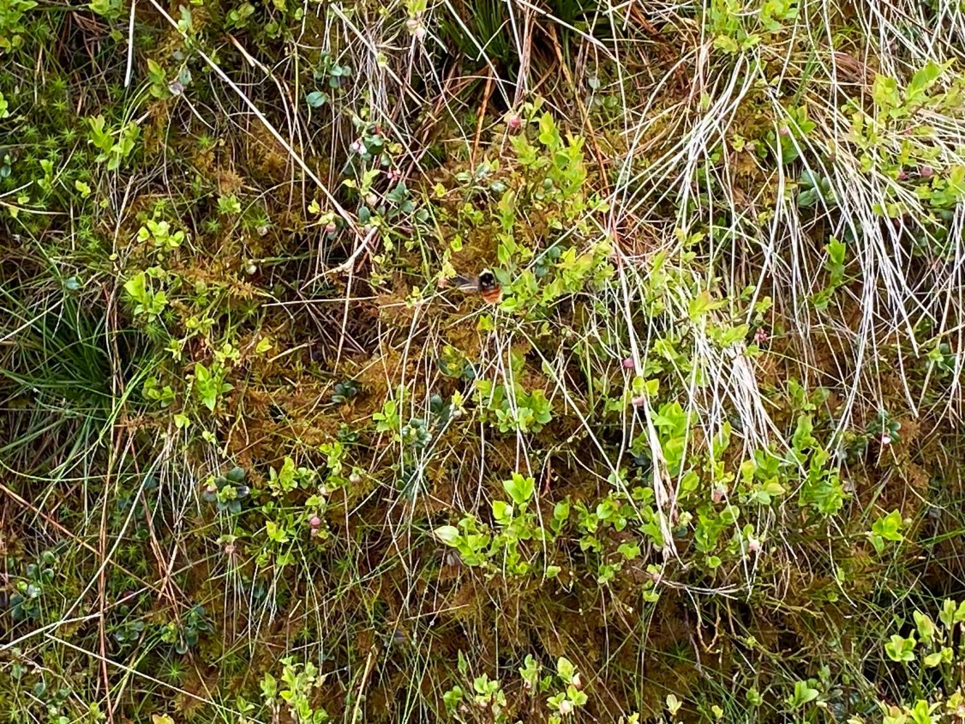 Hiking photograph