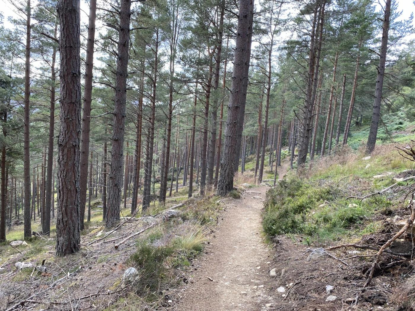Hiking photograph