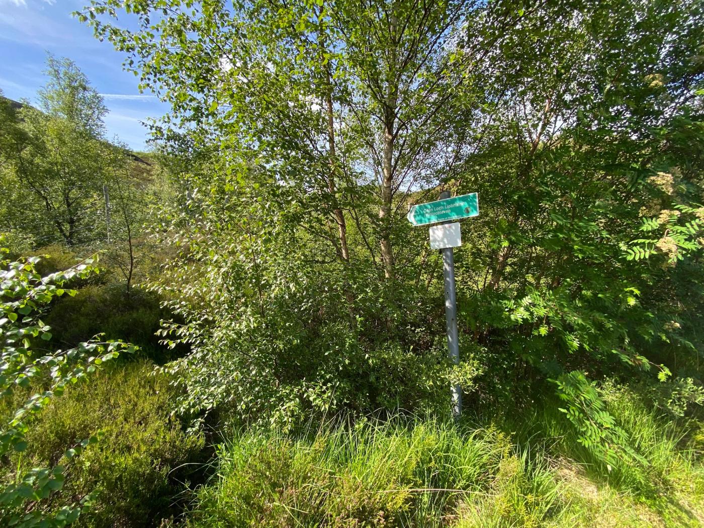 Hiking photograph