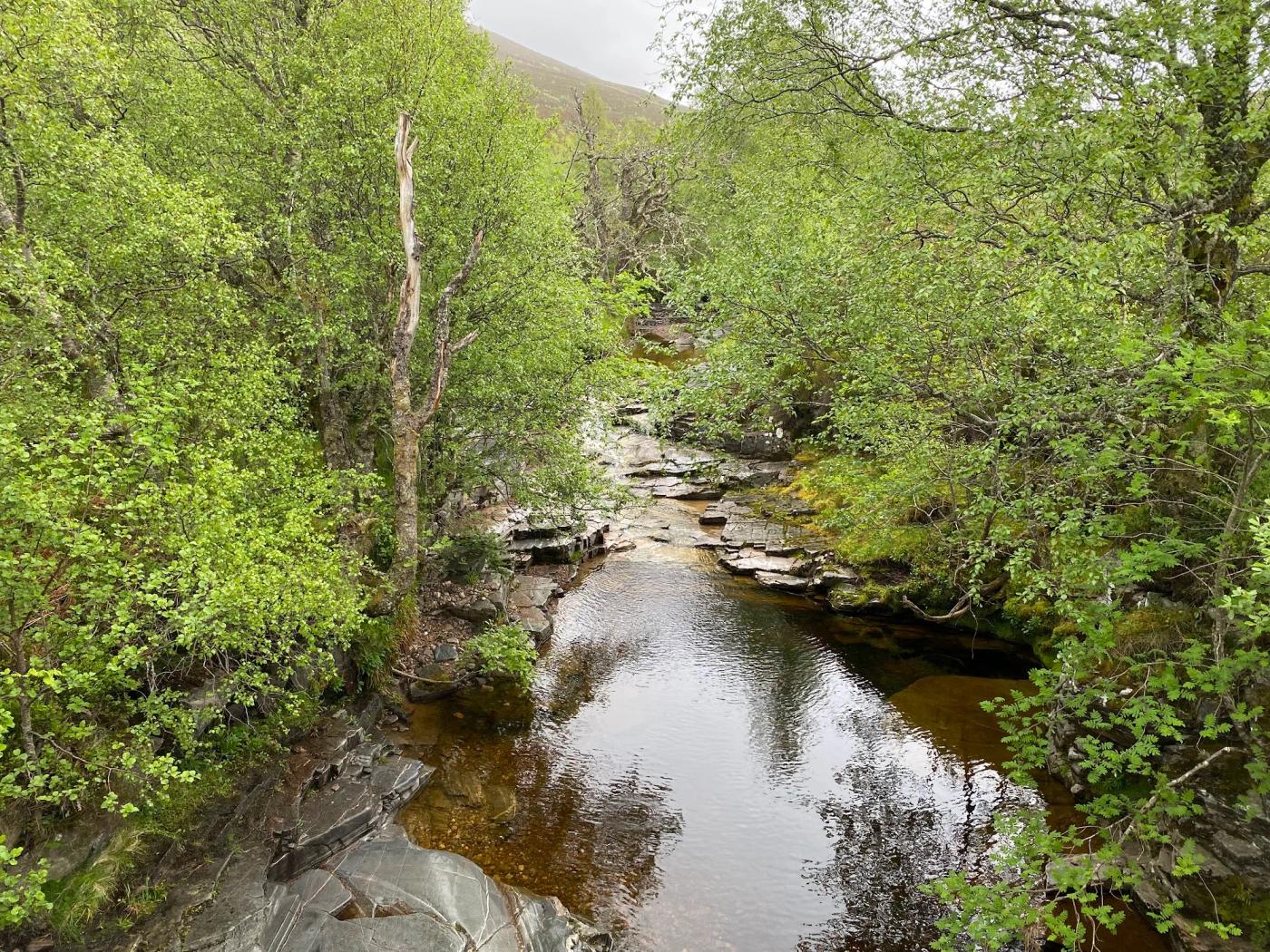 Hiking photograph