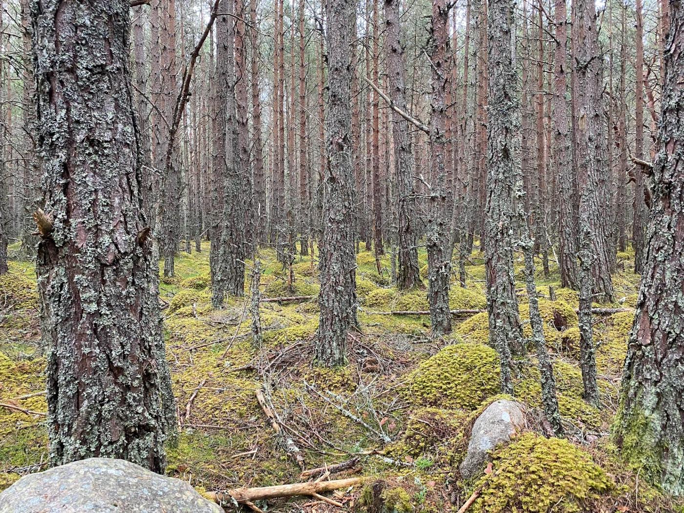 Hiking photograph