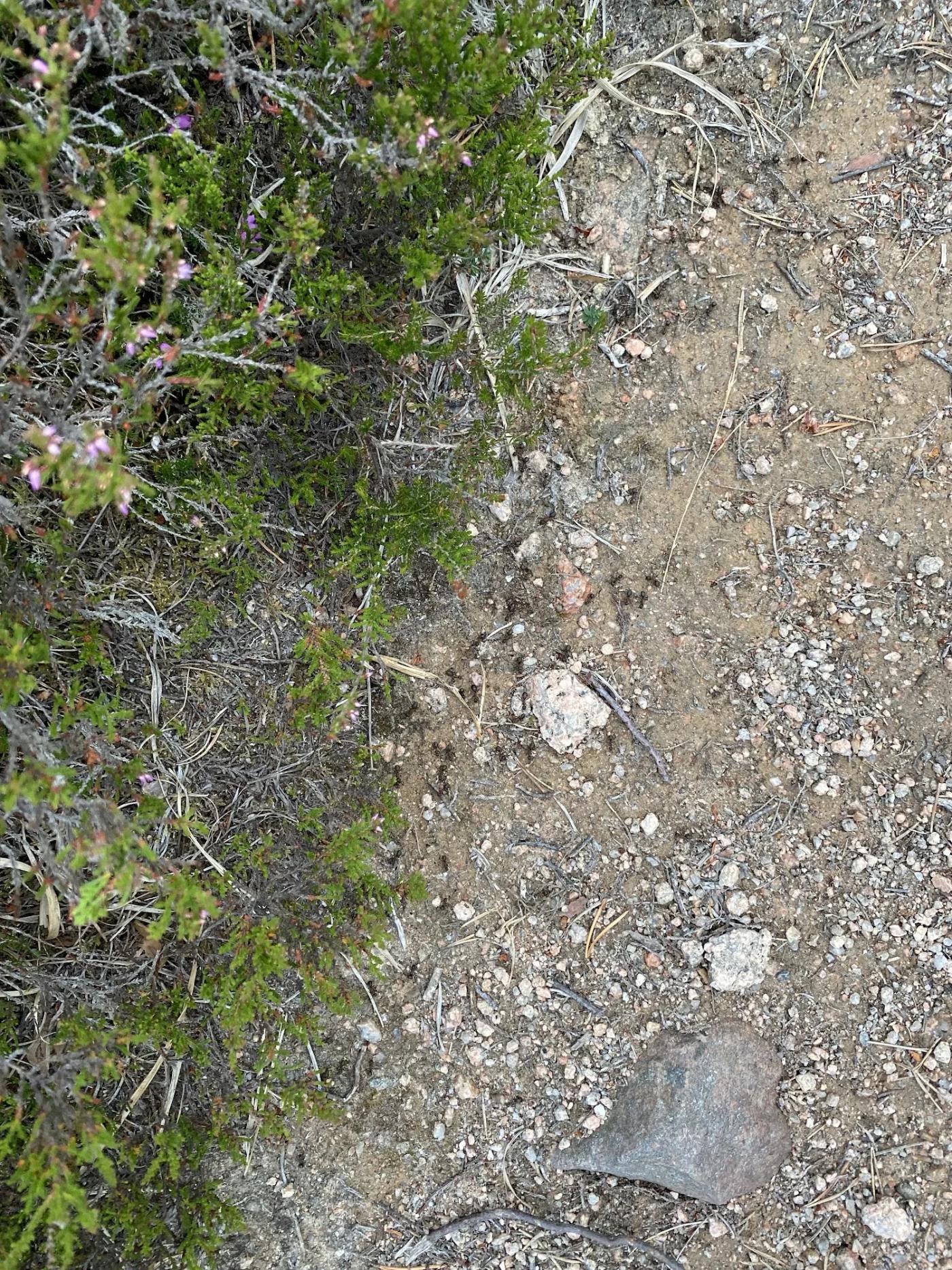 Hiking photograph