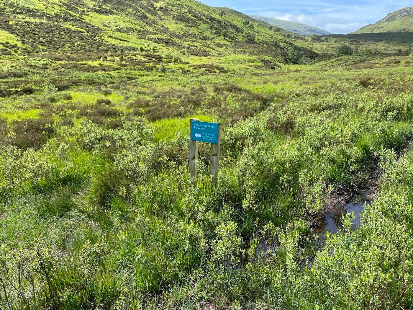 Hiking photograph
