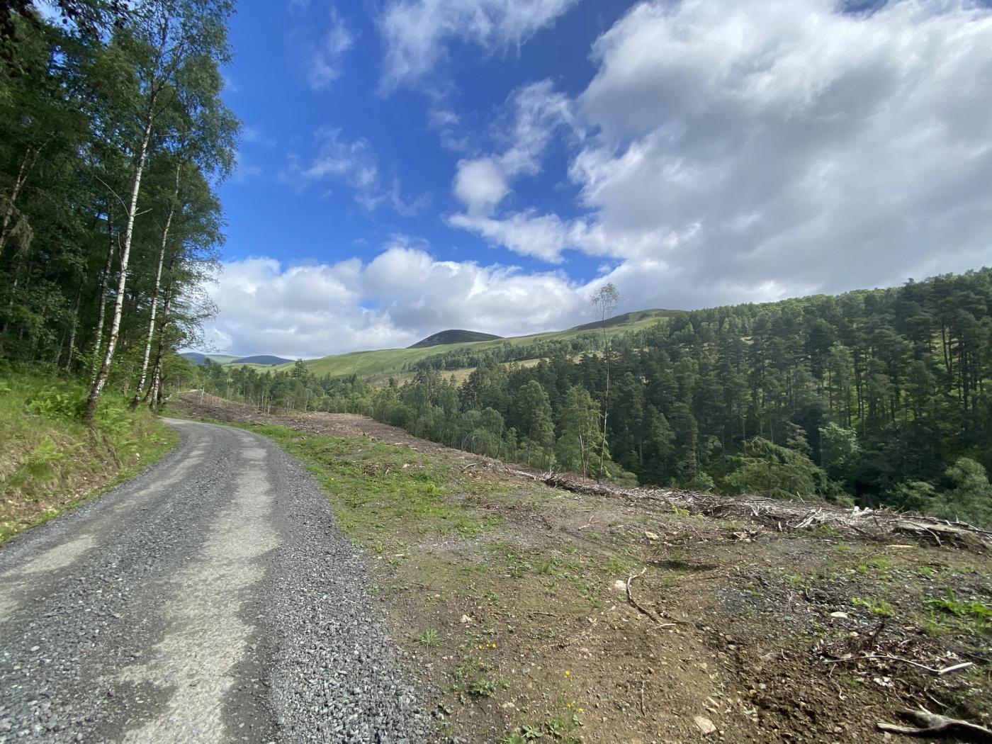 Boring walk along Glen Tilt