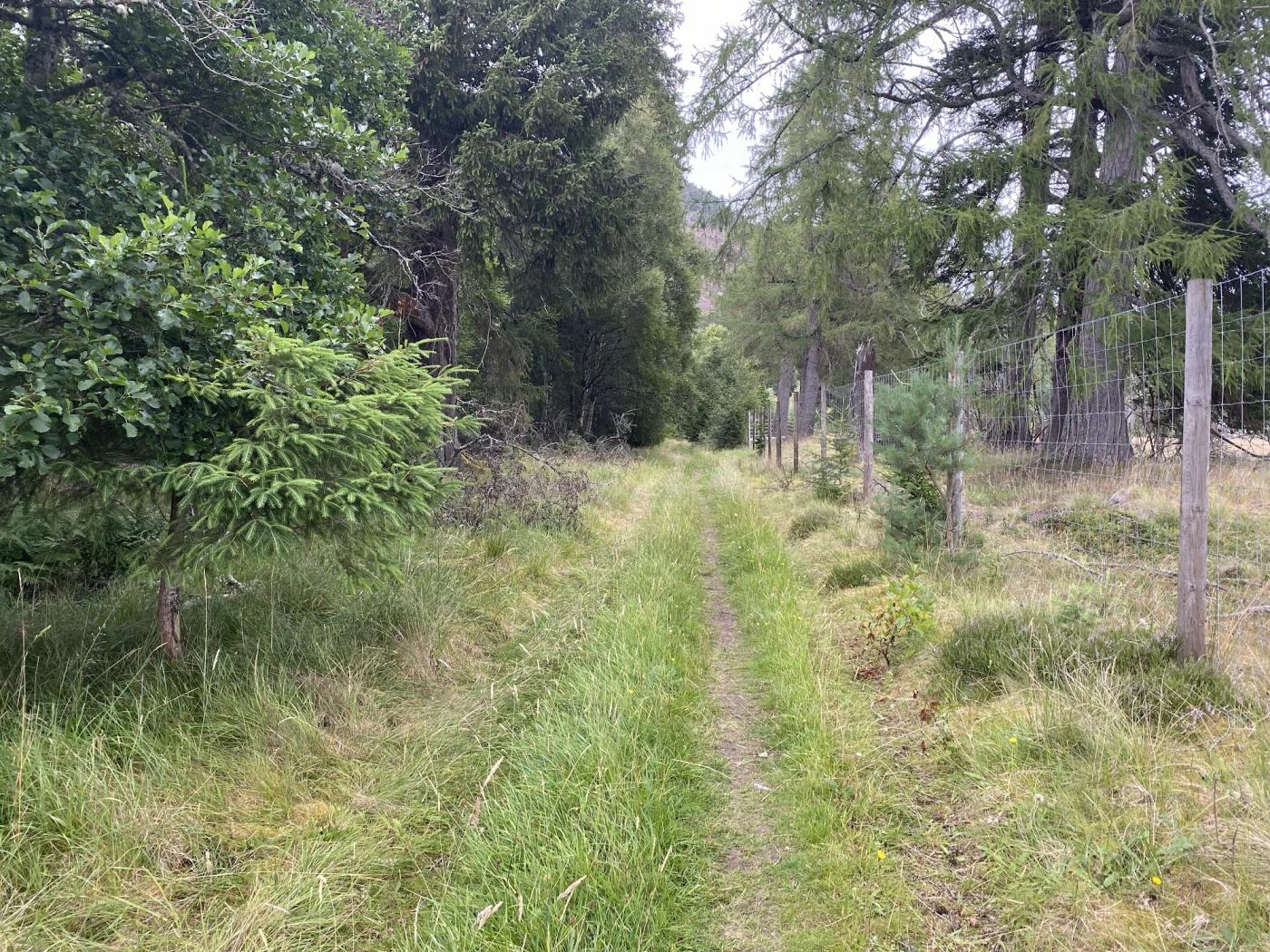 Hiking photograph